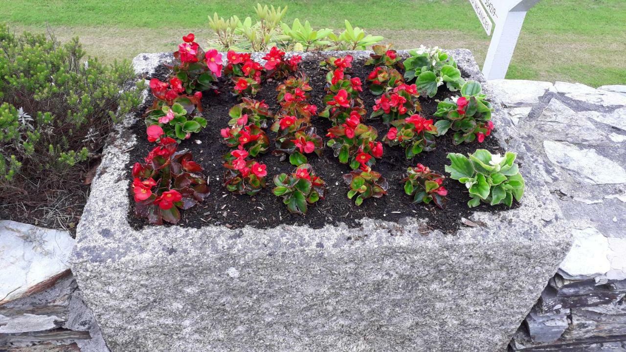 Melorne Farm Bed & Breakfast Camelford Dış mekan fotoğraf