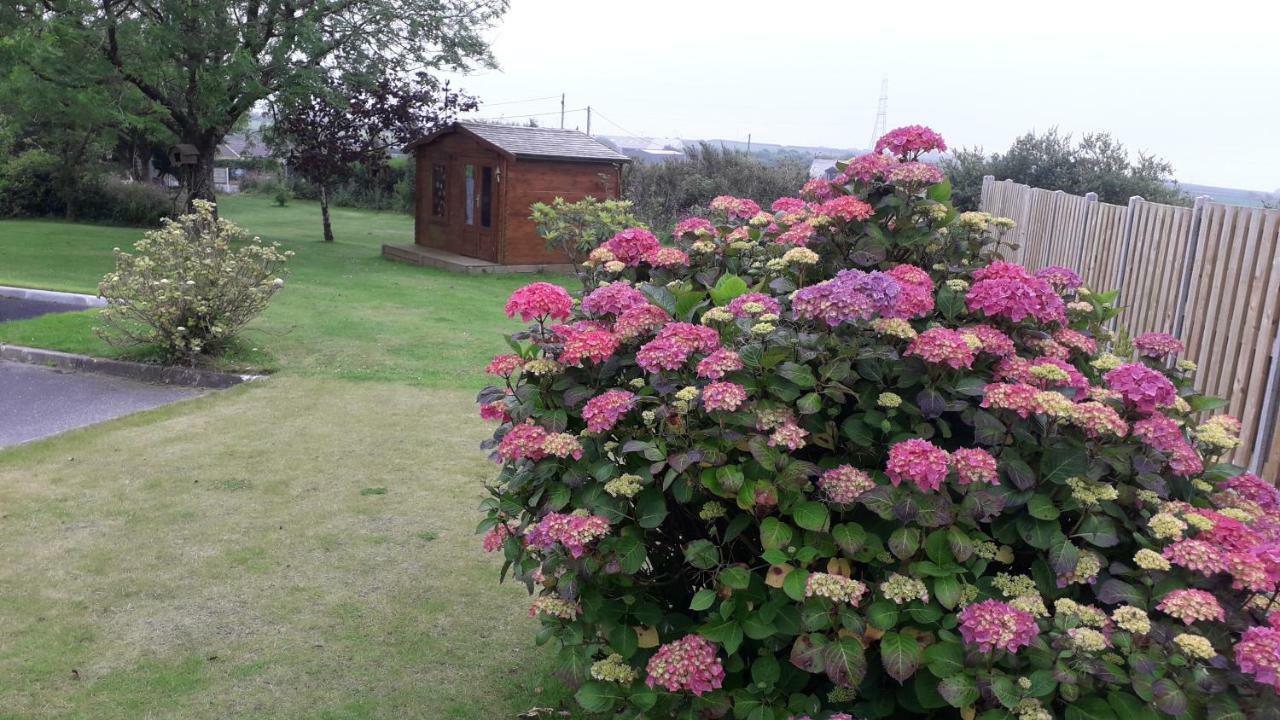 Melorne Farm Bed & Breakfast Camelford Dış mekan fotoğraf